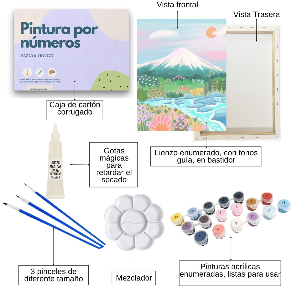 GENERICO - Pintura con números en bastidor 40x50 - Volcán Osorno Mágico - Painting by numbers
