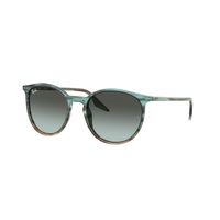 Ray-Ban RB2204 1394GK 54