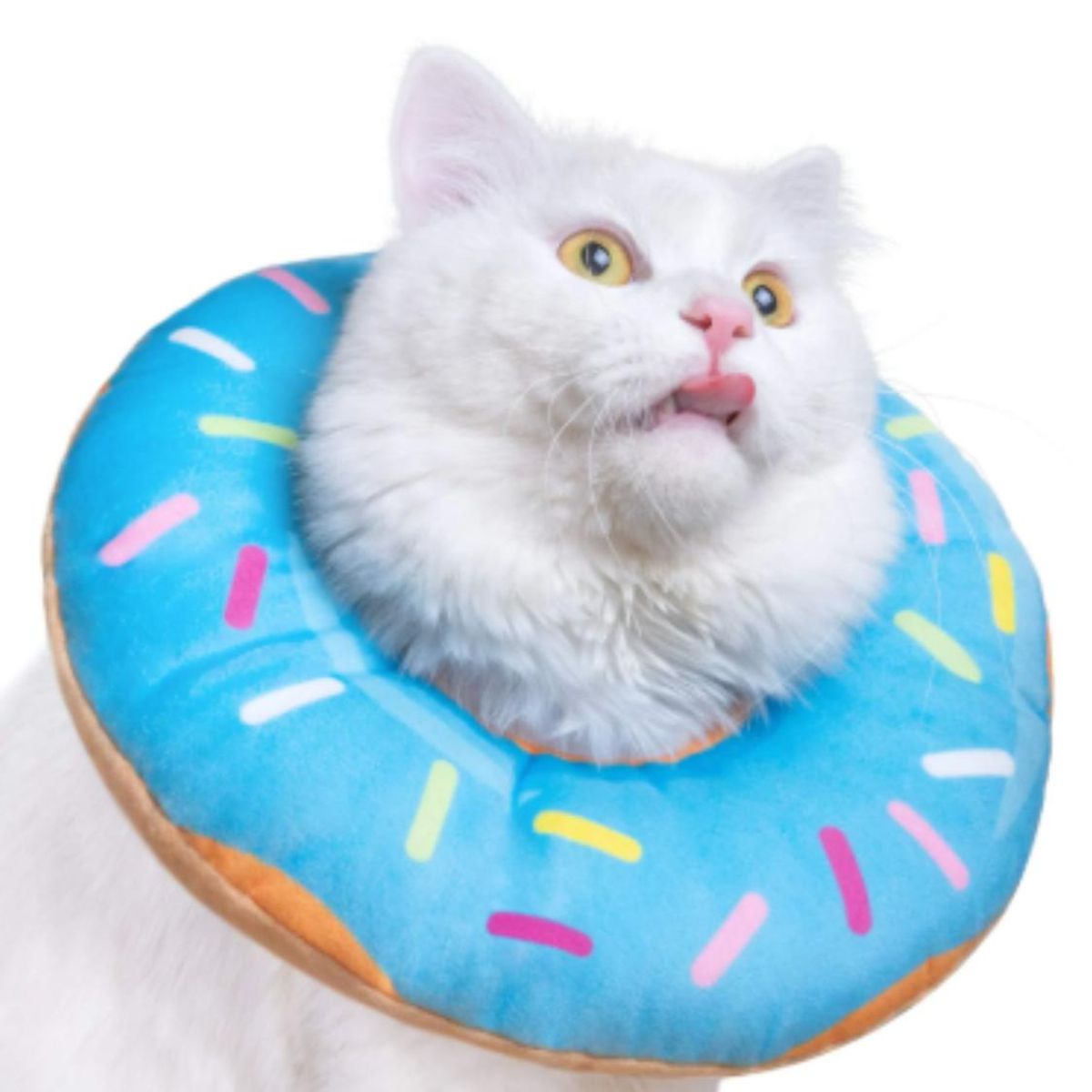 GENERICO - Collar Dona Para Mascotas Anti-lamido Talla S - Celeste - S