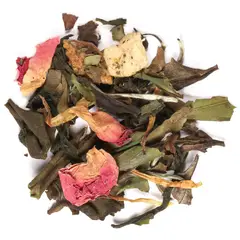 ADAGIO TEAS - Géminis
