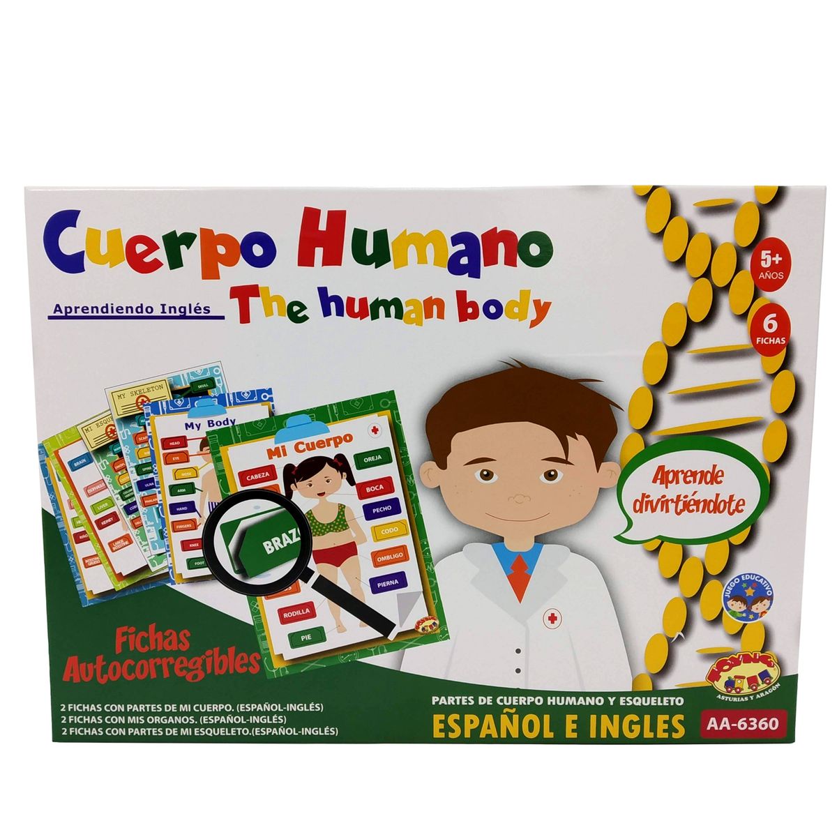 TOYNG - Juego Educativo Juego Educativo Cuerpo Humano - Toyng