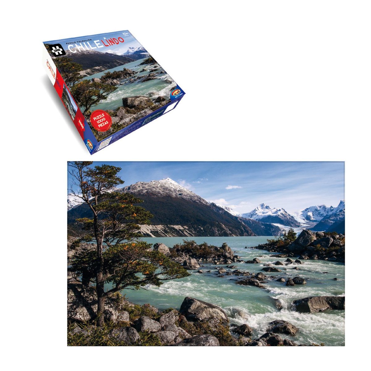 TOYNG - Puzzle Coyhaique (1000 Piezas) - Toyng