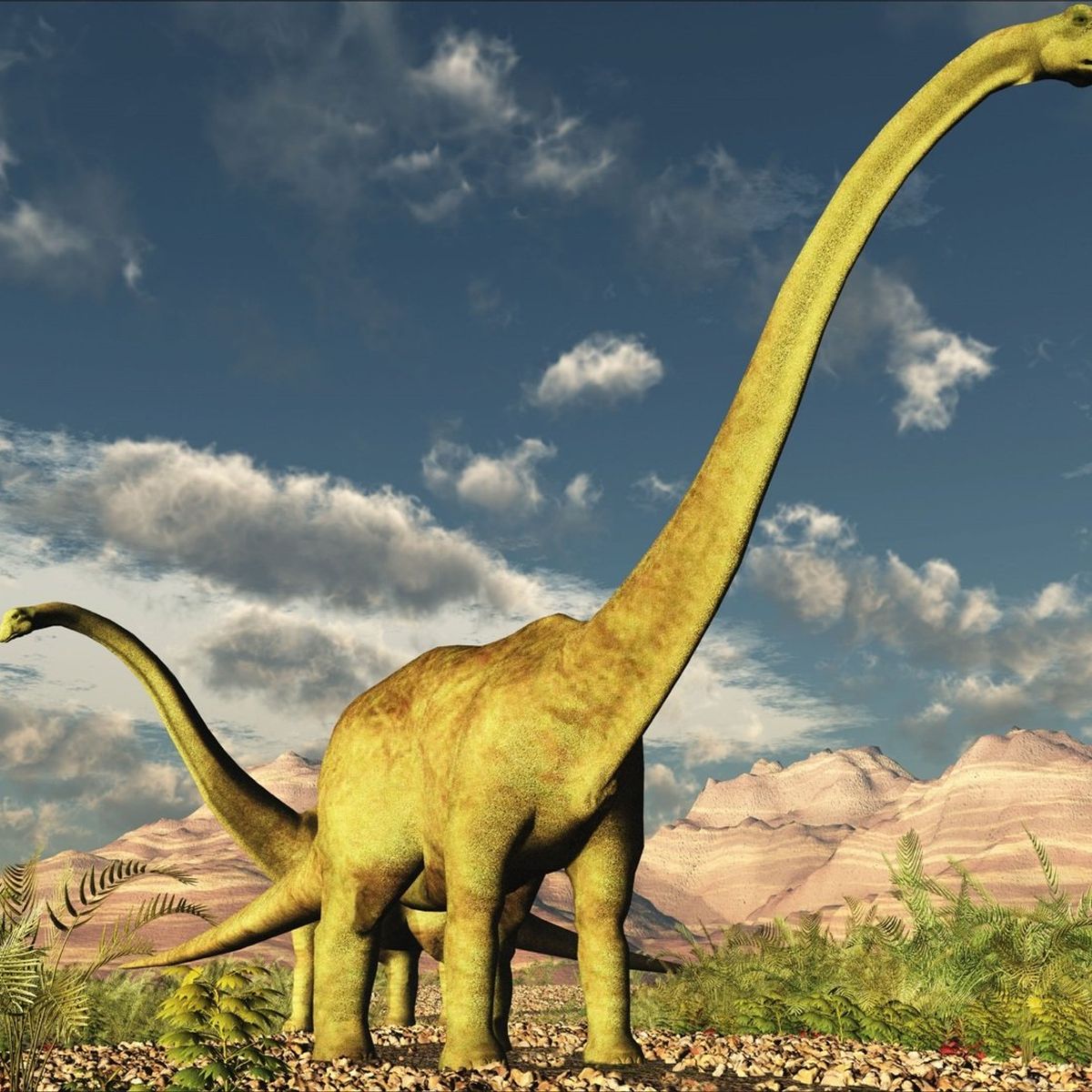 TOYNG - Puzzle Brachiosaurus Colección Jurásica (100 Piezas) - Toyng