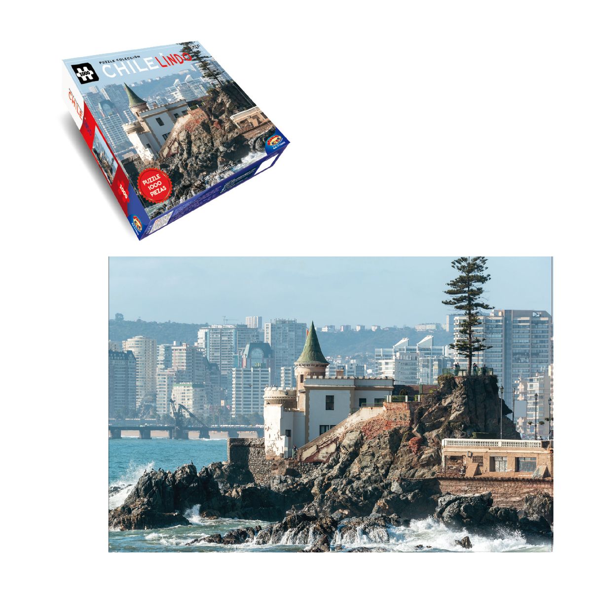 TOYNG - Puzzle Viña Del Mar (1000 Piezas) - Toyng