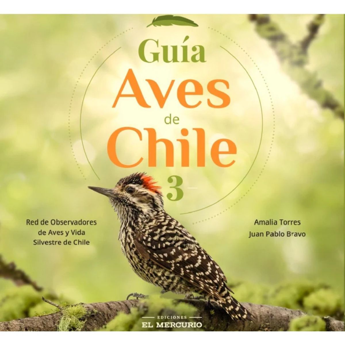 HITWAY MUSIC - GUÍA AVES DE CHILE 3 - RED DE OBSERVARORES DE AVES  AMALIA TORRES  - LIBRO