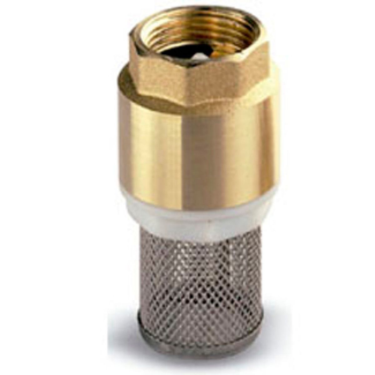 GENERICO - VALVULA DE RETENCION DE PIE 1 12