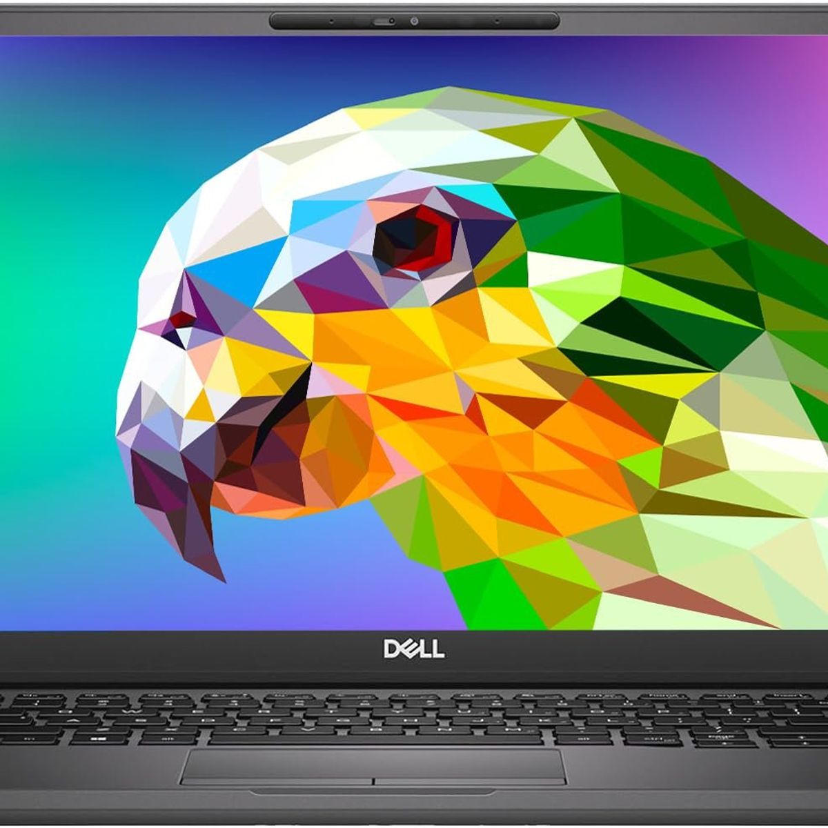 DELL - Notebook Dell Latitude Core i5 8  gb de ram y disco ssd