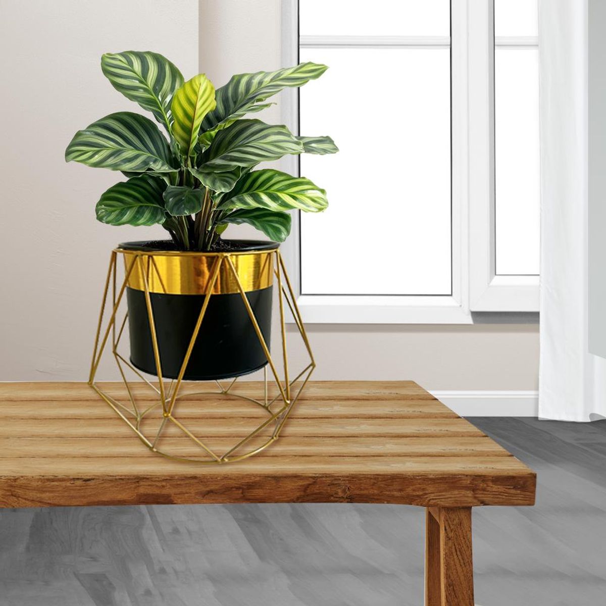 GENERICO - Macetero Decorativo Moderno - Estilo Geométrico Negro y Dorado S