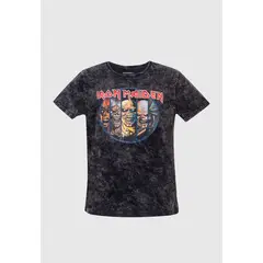 IRON MAIDEN - Polera Hombre Eddie Evolution Gris