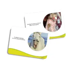 DACTIC - Juego de láminas 56 piezas dichos y refranes