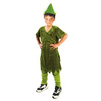 Disfraz Peter Pan Duende Talla 10 a 12 años