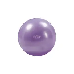 GYMNIC - Balón de Pilates Plus Morado 65 cm (95.26)