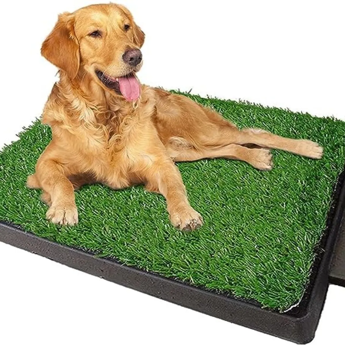 MOVI - BAÑO ECOLOGICO PARA MASCOTAS XL