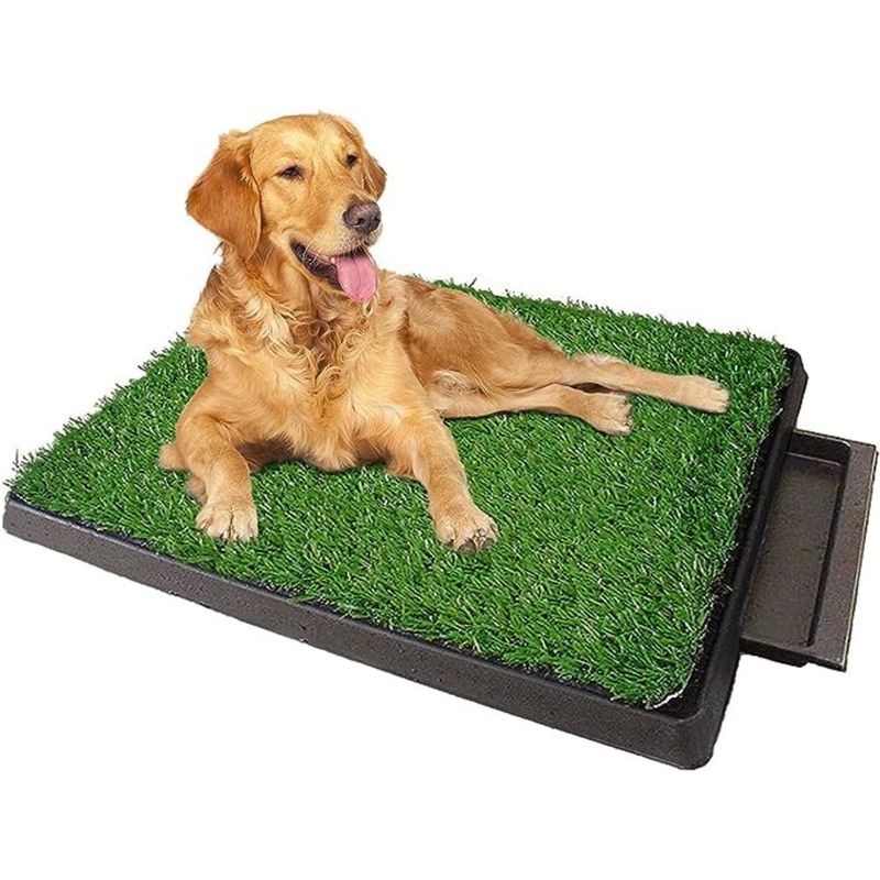 MOVI - BAÑO ECOLOGICO PARA MASCOTAS XL