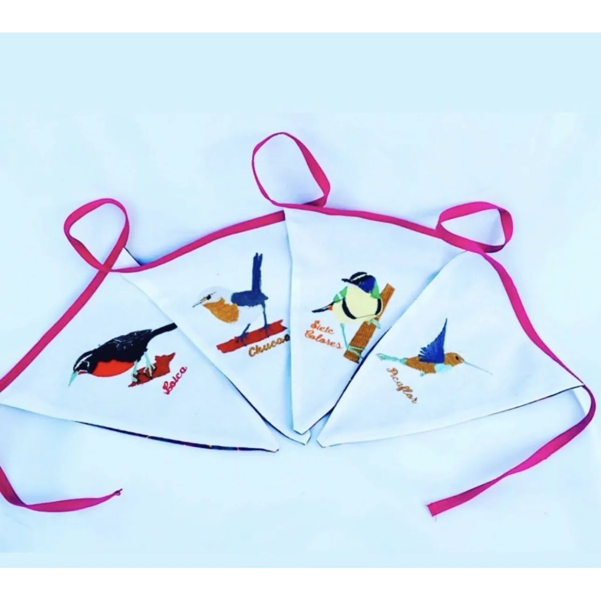 ECOAMBIENTATE - Banderin Aves Chilenas