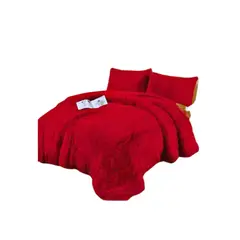 GENERICO - Cobertor Chiporro Invierno 2 Plazas Liso Peludo 250x230cm