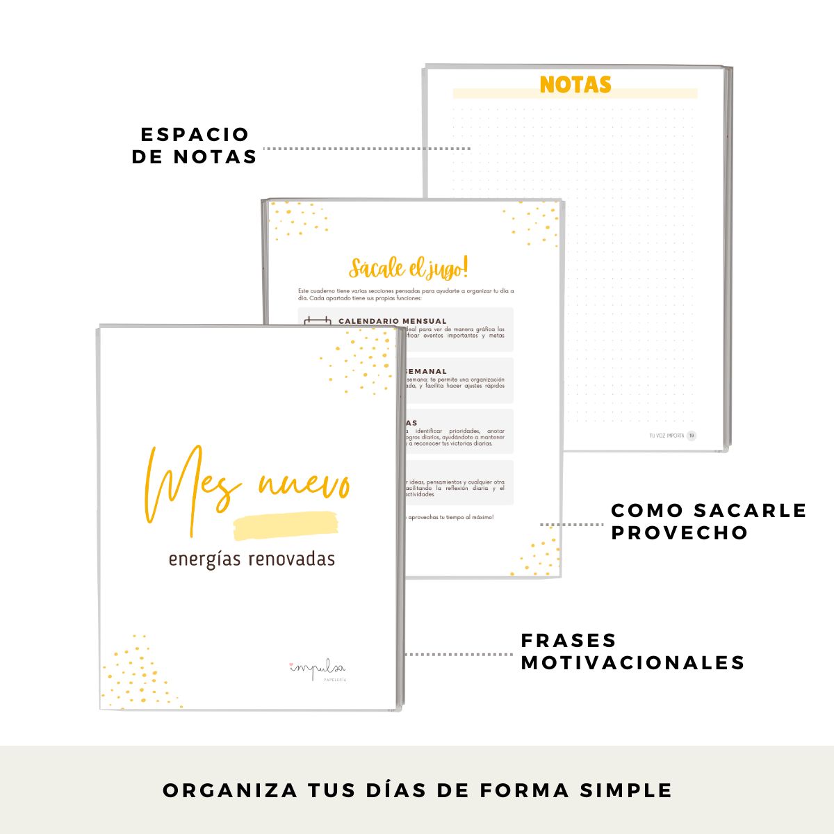 GENERICO - Planner Diario 3 Meses Sin Fecha- Verde