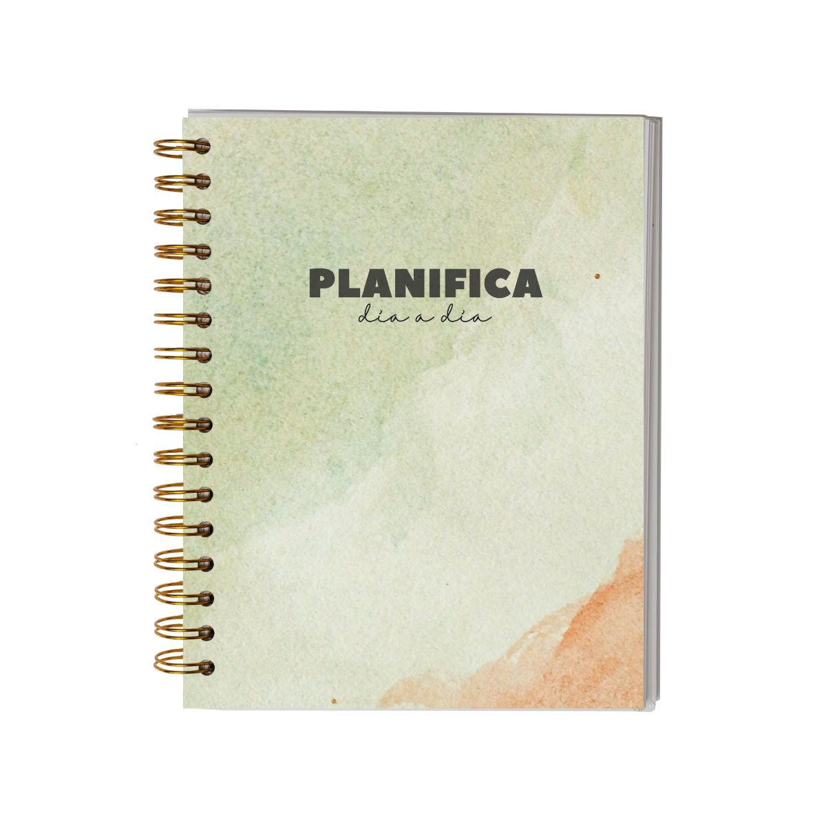 GENERICO - Planner Diario 3 Meses Sin Fecha- Verde