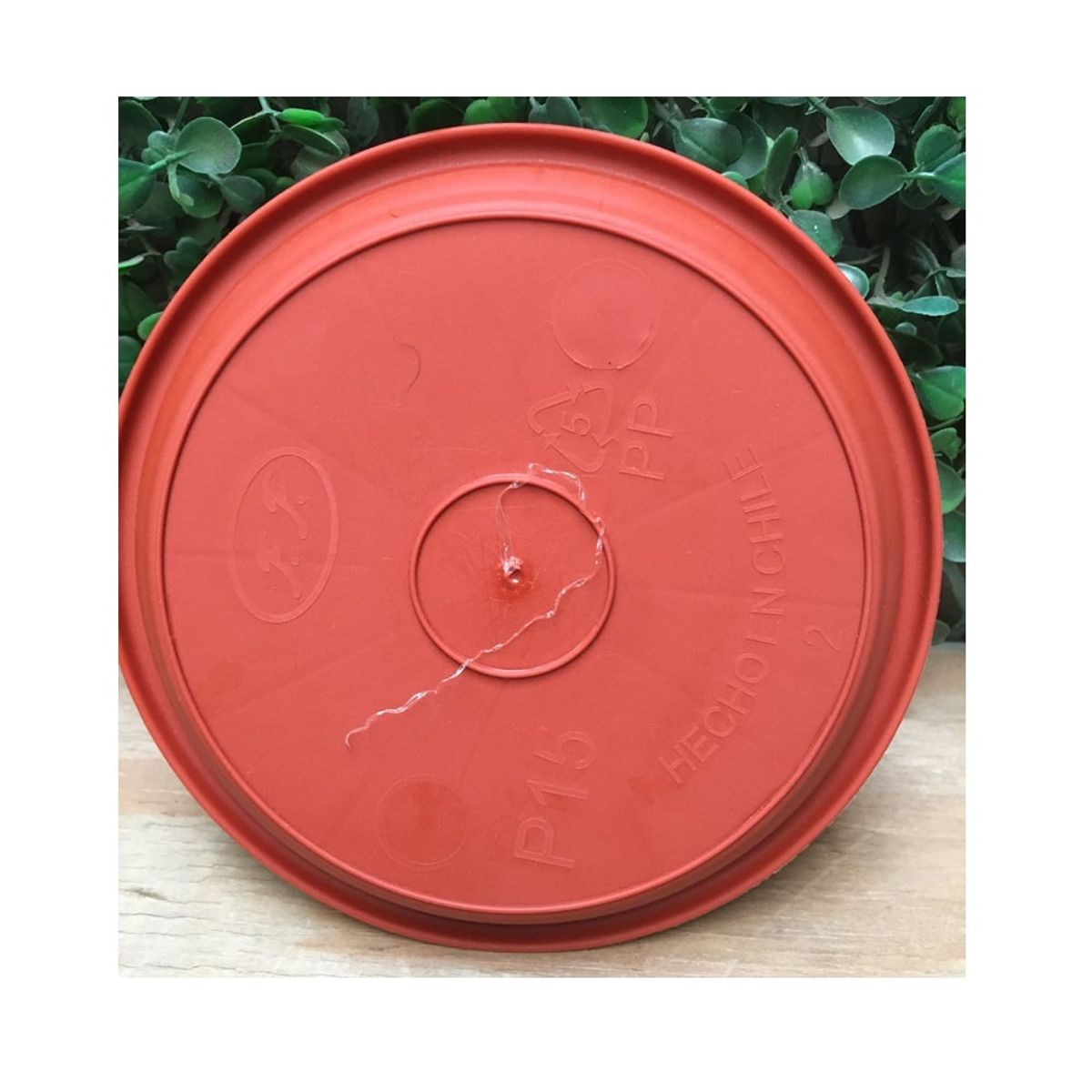 GENERICO - Pack 5 Plato Base Macetero Redondo Interior 11 Cm N°15