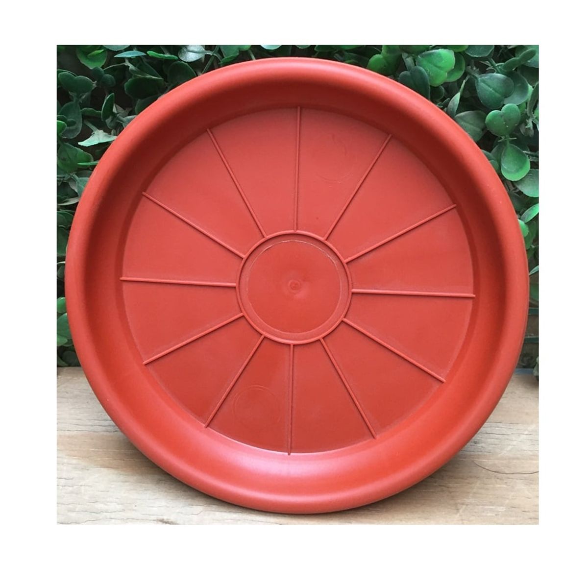 GENERICO - Pack 20 Plato Base Macetero Redondo Interior 11 Cm N°15