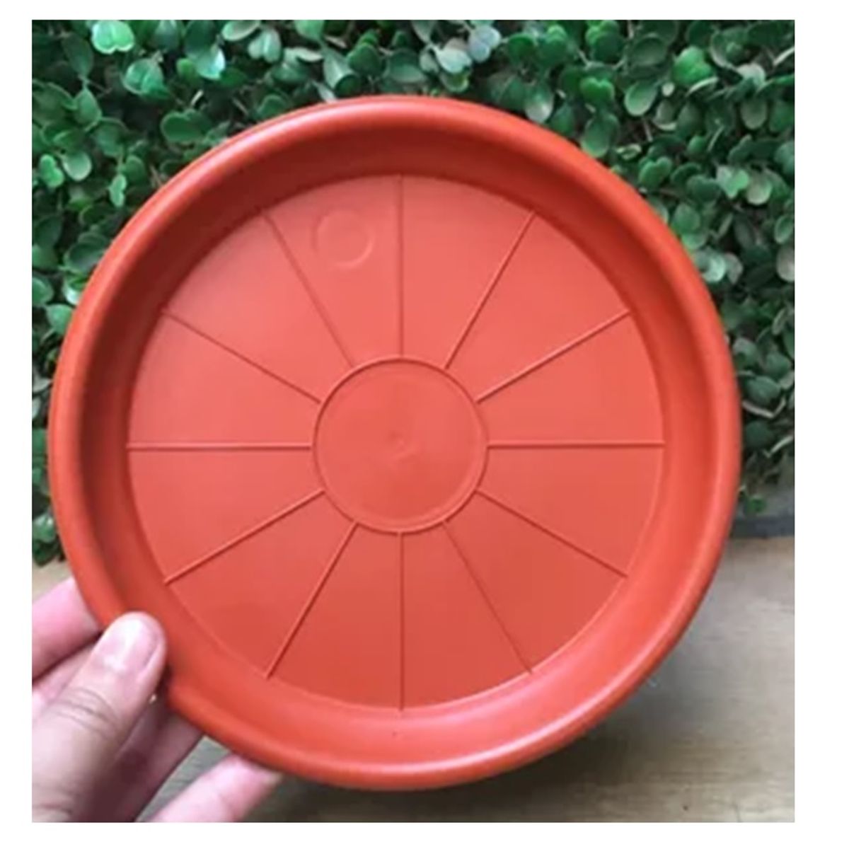 GENERICO - Pack 5 Plato Base Macetero Redondo Interior 14 Cm N°19
