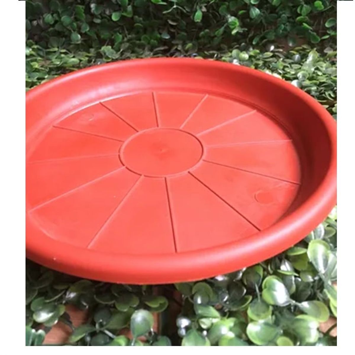 GENERICO - Pack 5 Plato Base Macetero Redondo Interior 20Cm N°28