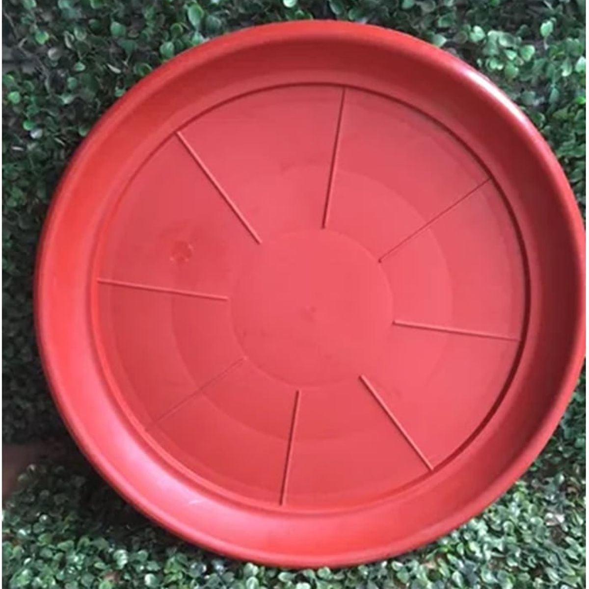 GENERICO - Pack 5 Plato Base Macetero Redondo Interior 35 Cm N°50