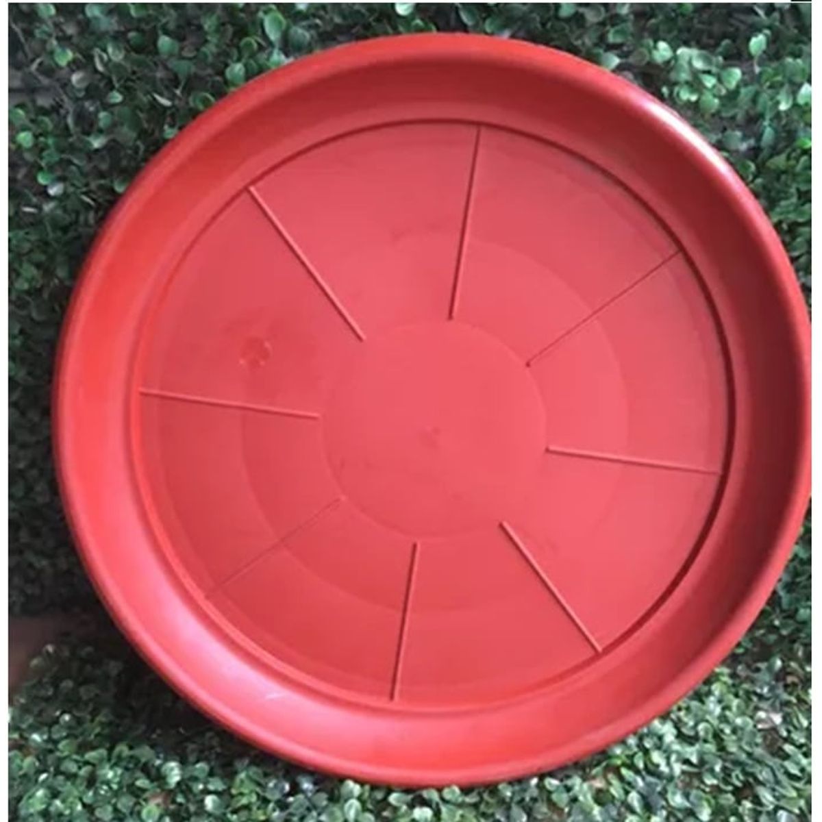 GENERICO - Pack 5 Plato Base Macetero Redondo Interior 35 Cm N°50