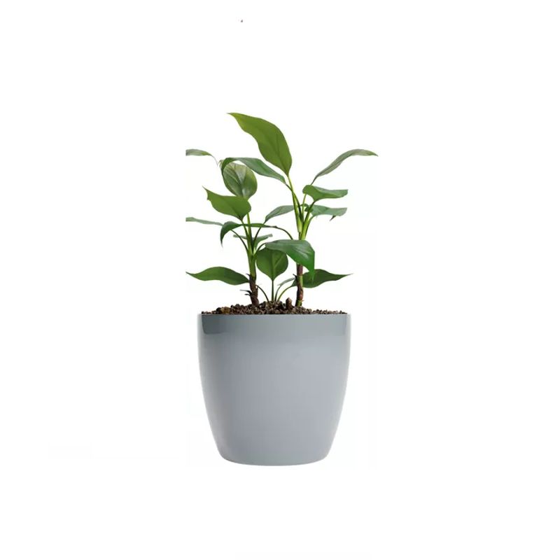 GENERICO - Maceteros Plástico 20x22cm Amalfi Pack 2 Unidades 53L Gris