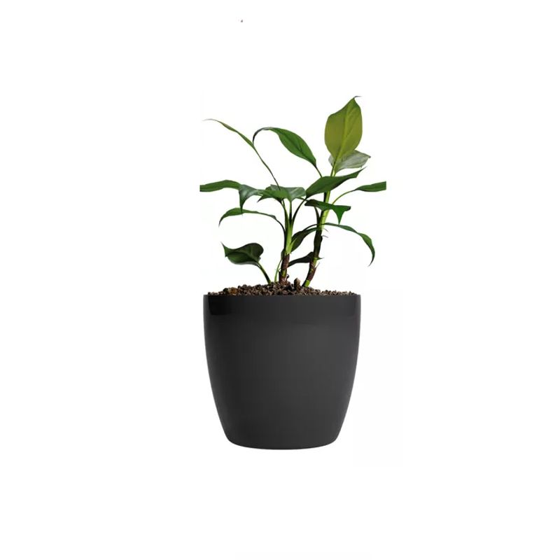 GENERICO - Maceteros Plástico 20x22cm Amalfi Pack 2 Unidades 53L Negro
