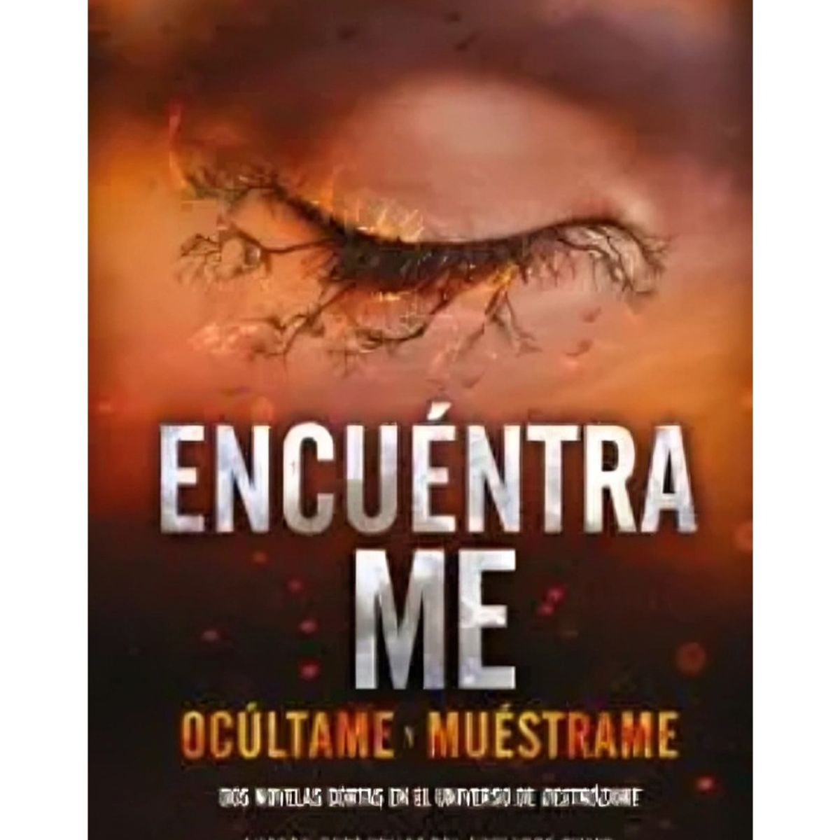 TOP10BOOKS - LIBRO Encuéntrame - MAURA GANCITANO