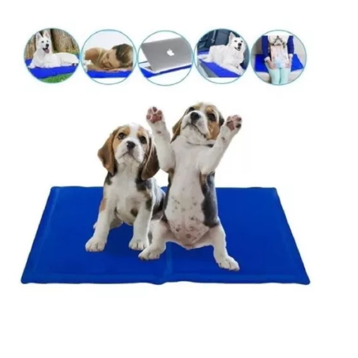 GENERICO - Manta Termica Para Mascotas Refrescante 40x30cm