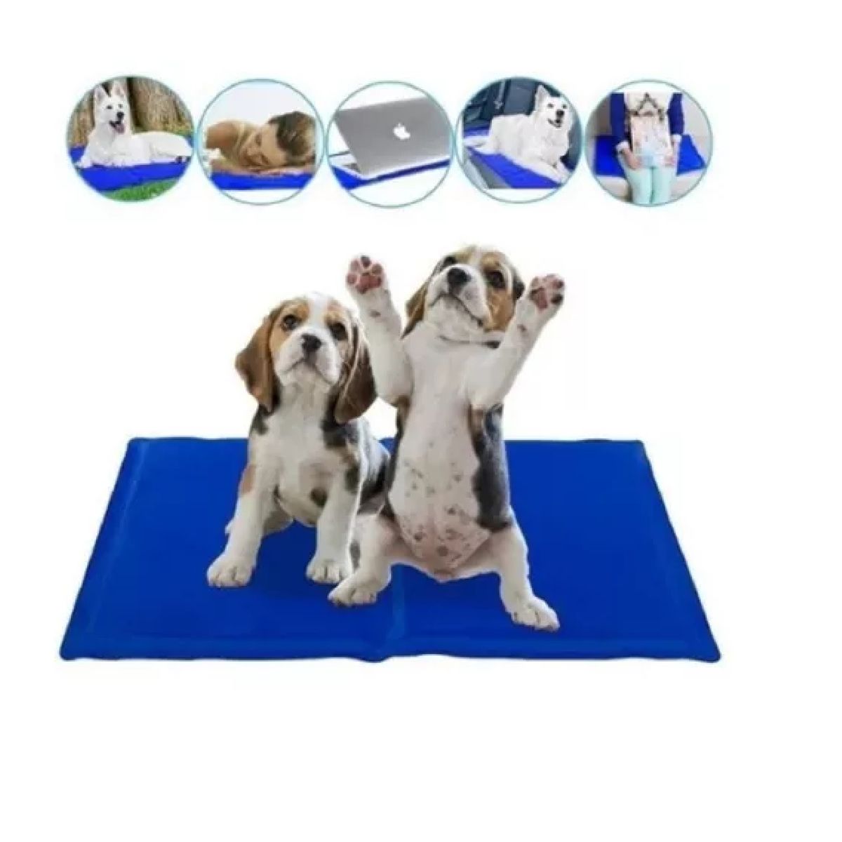 GENERICO - Manta Termica Para Mascotas Refrescante 40x30cm