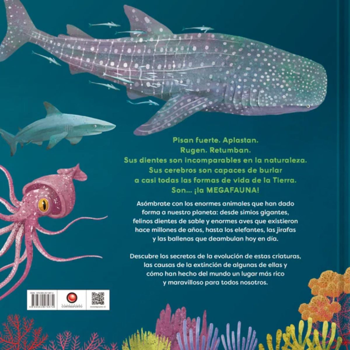 EDITORIAL CONTRAPUNTO - Mega de Editorial Contrapunto