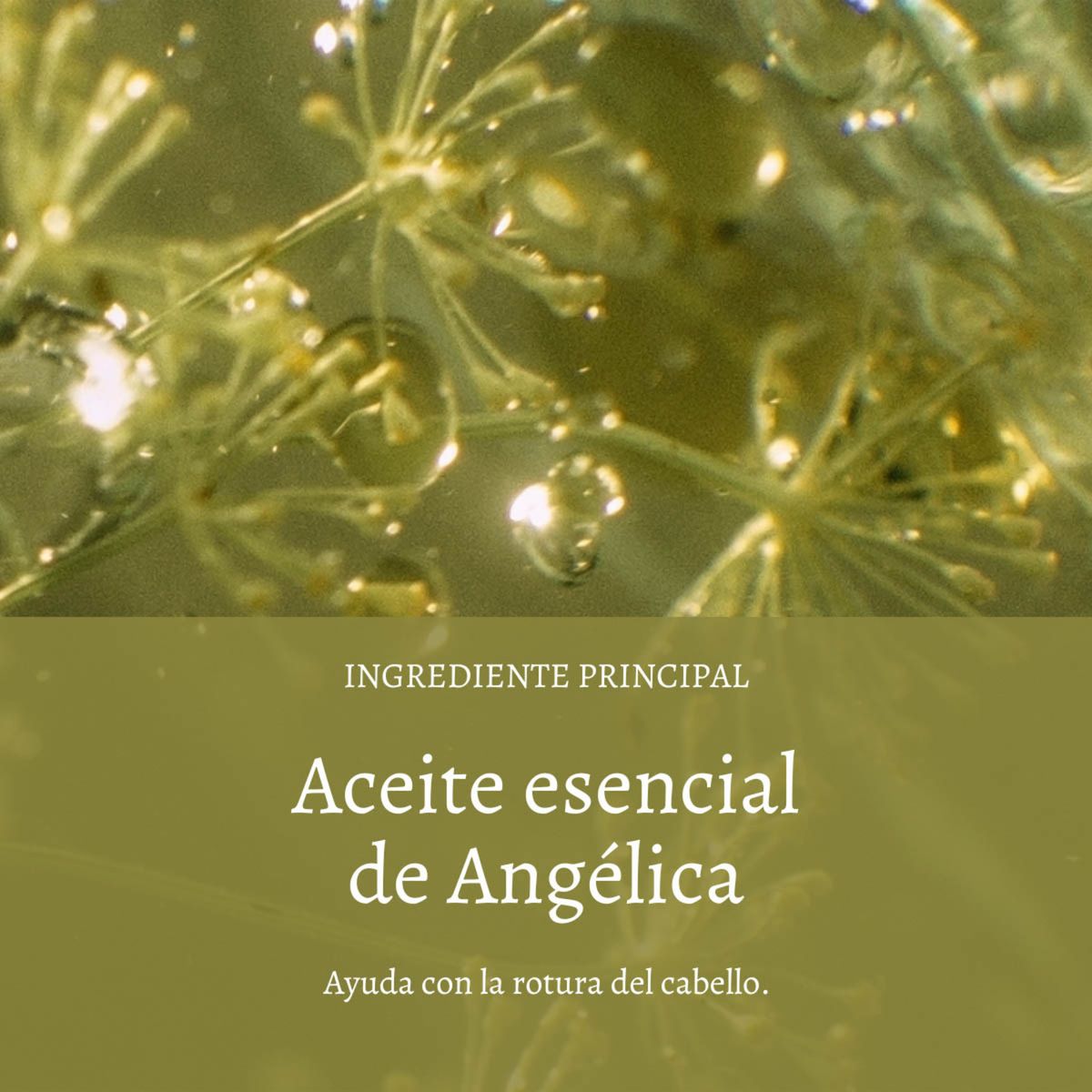 LOCCITANE - Máscara Capilar Reparadora 200 ml LOCCITANE