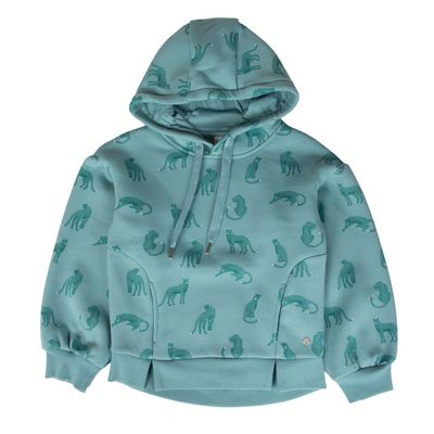 Imagen 1 del producto Polerón Verde ( PVB550-25VER )