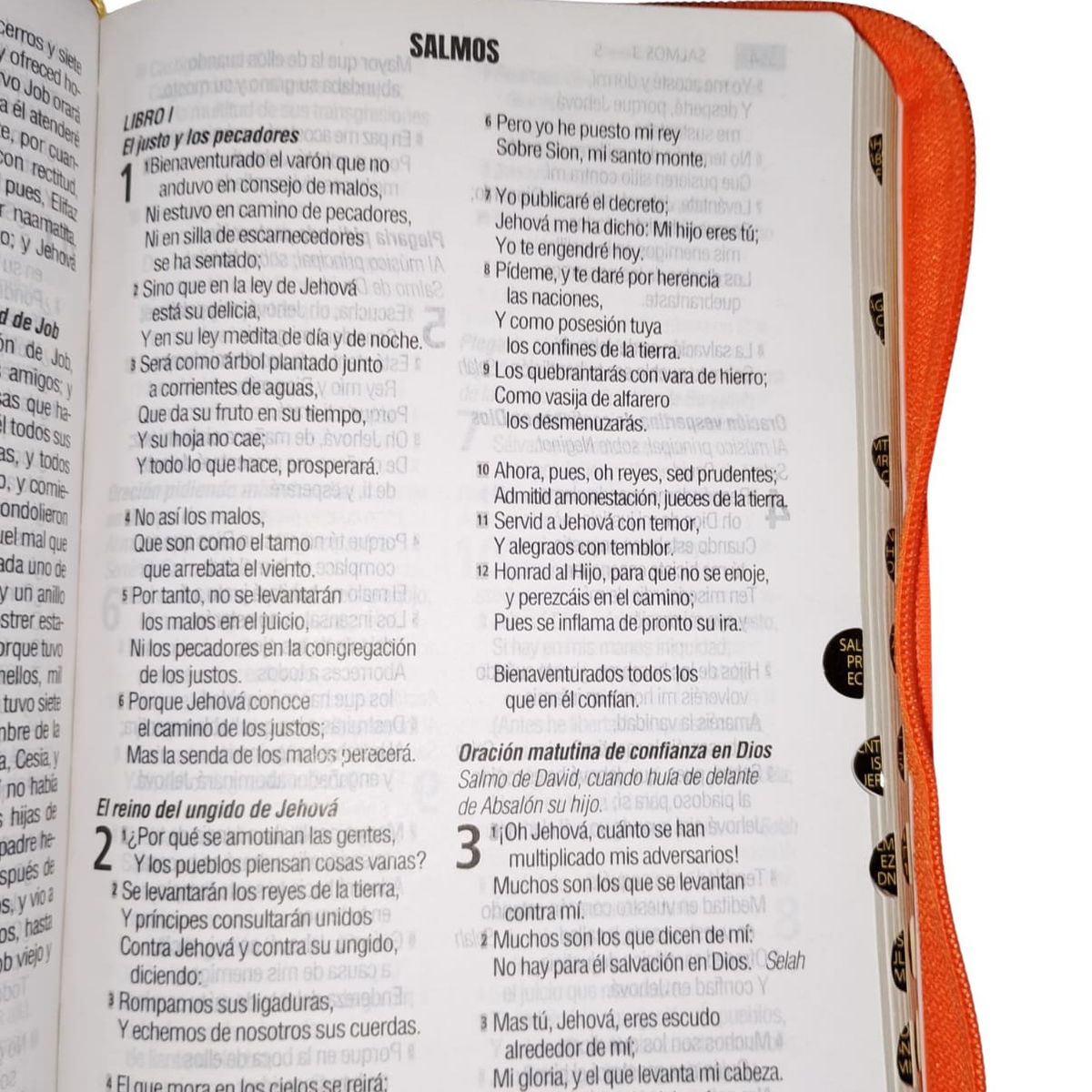 SOCIEDADES BIBLICAS UNIDAS - Biblia Reina Valera 1960 Letra Grande 12 Puntos Naranja Indice y Cierre