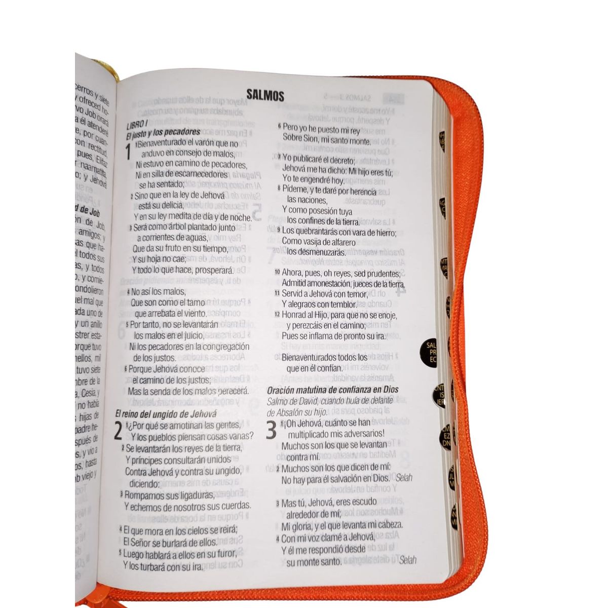 SOCIEDADES BIBLICAS UNIDAS - Biblia Reina Valera 1960 Letra Grande 12 Puntos Naranja Indice y Cierre