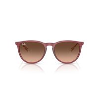 Anteojos De Sol Ray-Ban RB4171 Erika Violeta Mujer