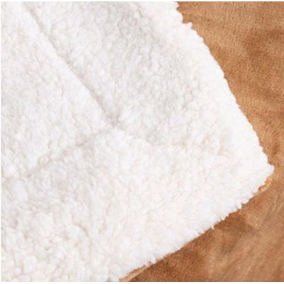 Imagen 2 del producto Frazada Plush con Sherpa Chiporro Azul Reversible 200x230