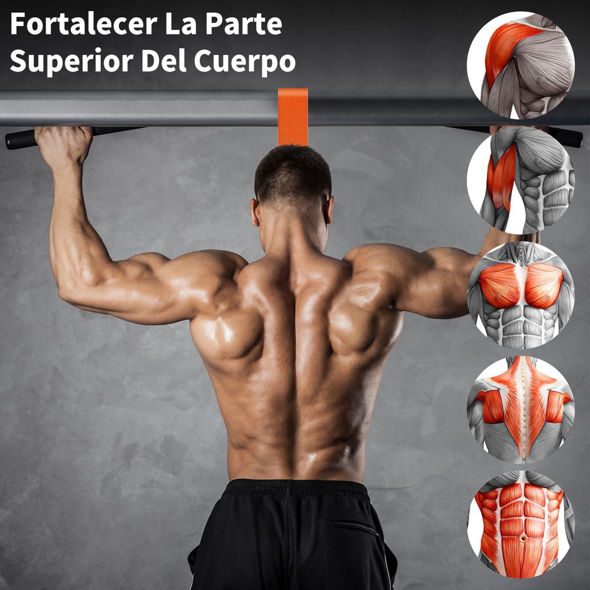 KOKILA - Banda Asistencia Set ElasticaPara Barras Dominadas Ejercicio