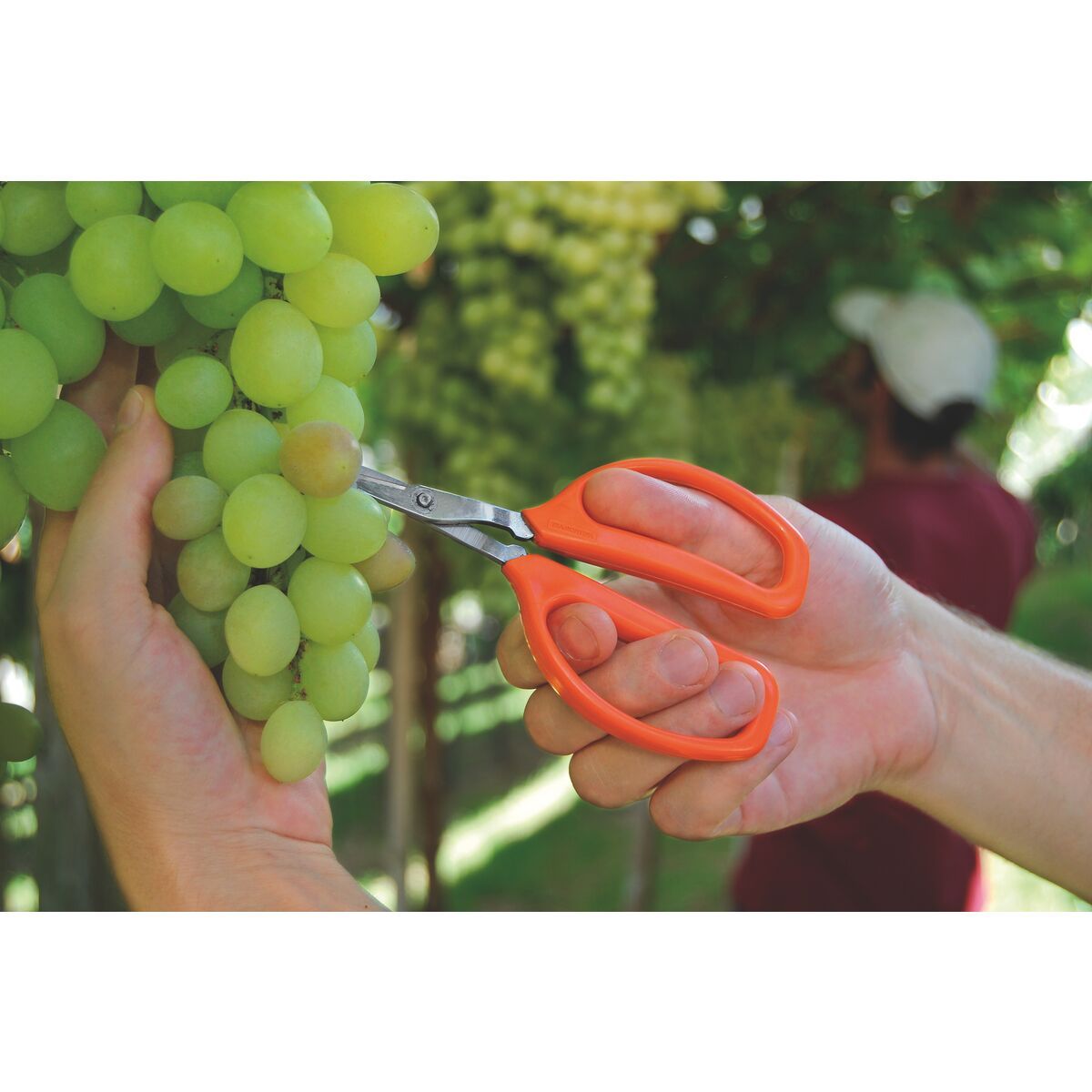 TRAMONTINA - Tijera para Frutas Tramontina con Láminas de Acero Inoxidable