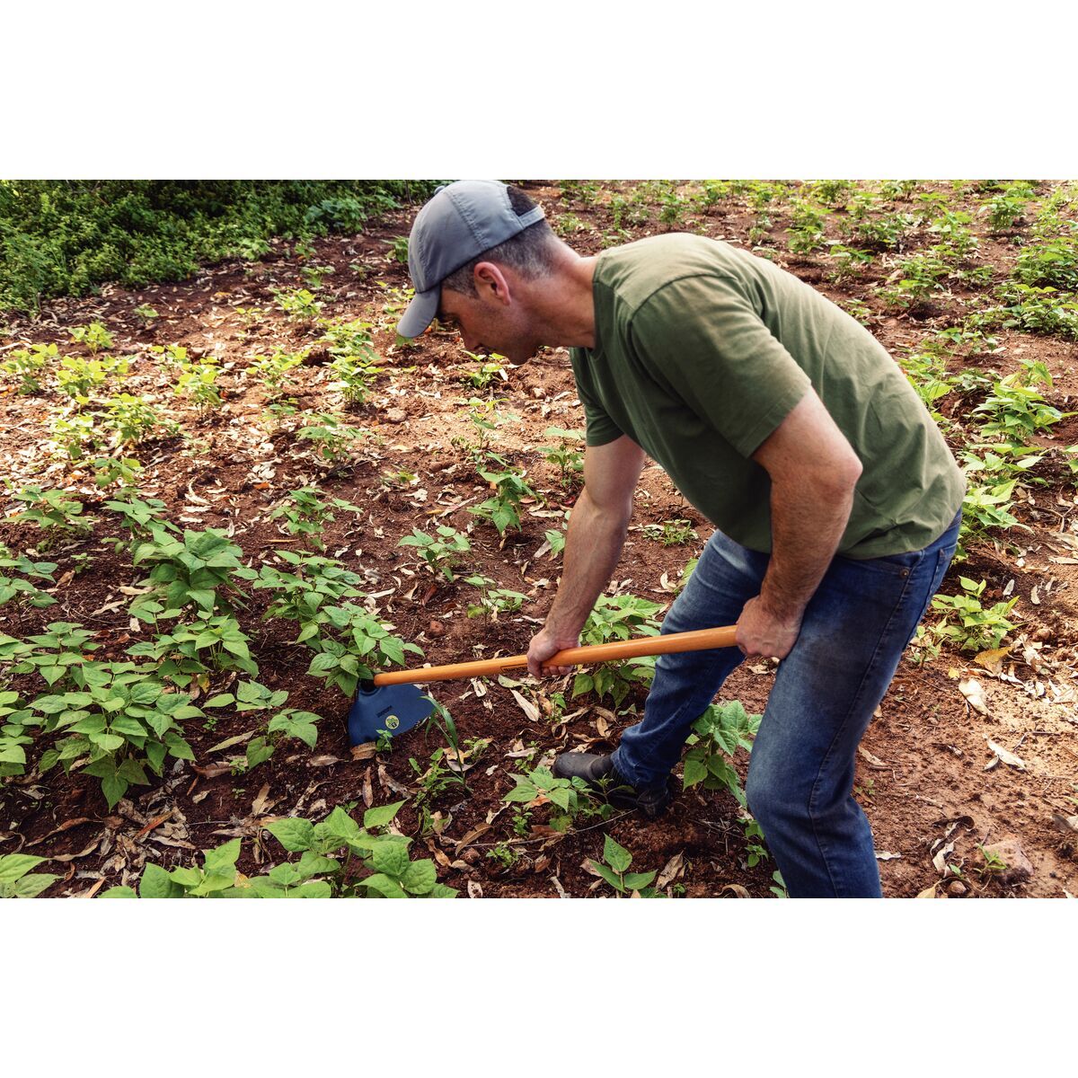 TRAMONTINA - Azada 2.5, mango de madera 145 cm