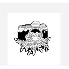 GENERICO - PIN METÁLICO DISEÑO CÁMARA