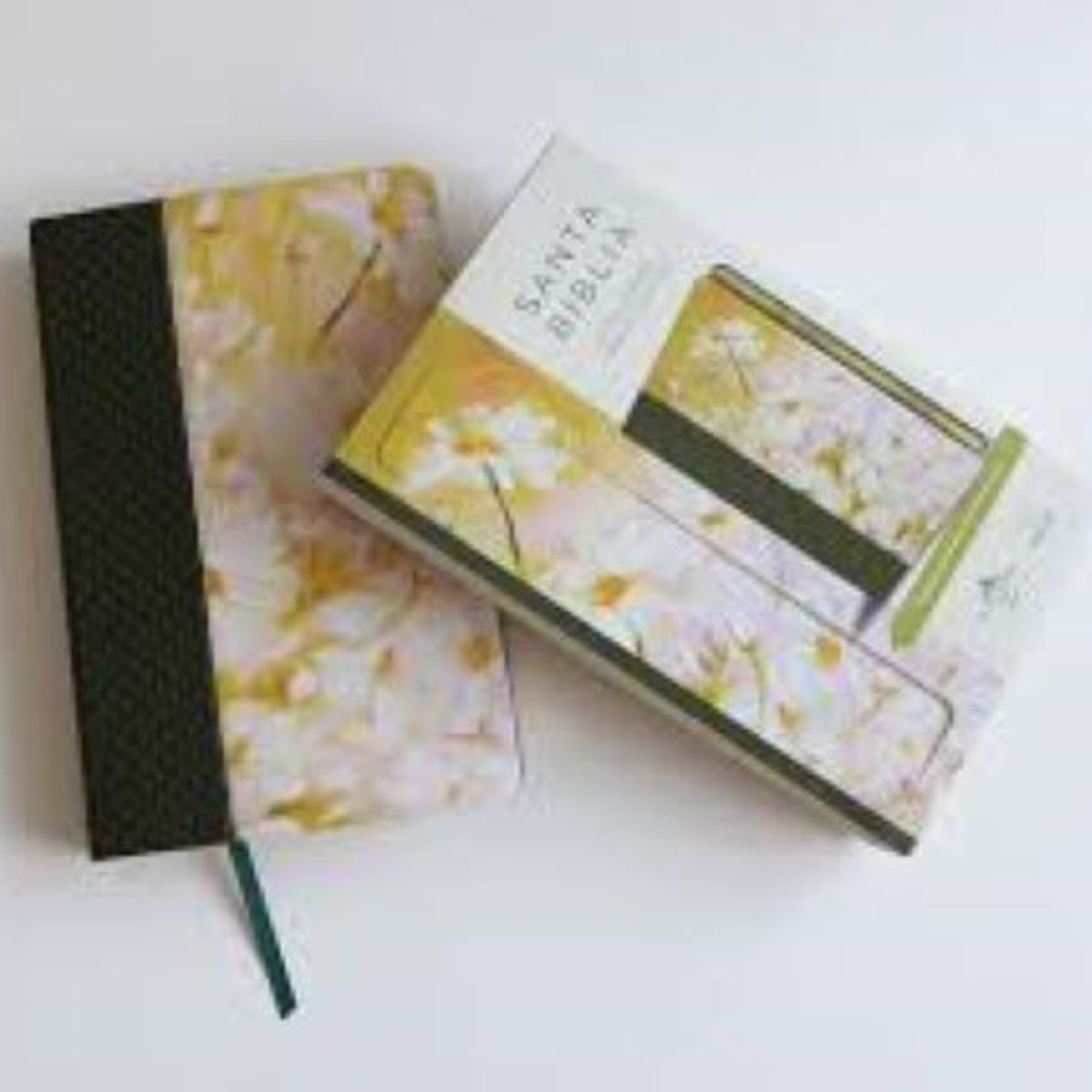 PENGUIN RANDOM HOUSE - Litro Biblia Reina Valera 1960 Letra Grande. Piel