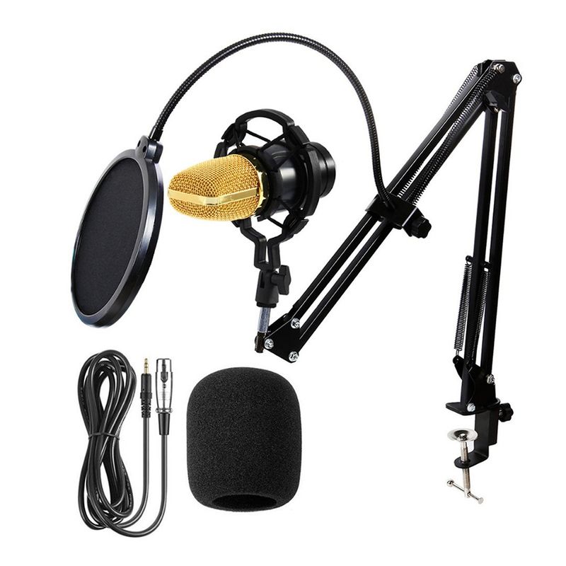 GENERICO - KIT MICROFONO PROFESIONAL PODCAST CON ANTIPOP Y SOPORTE