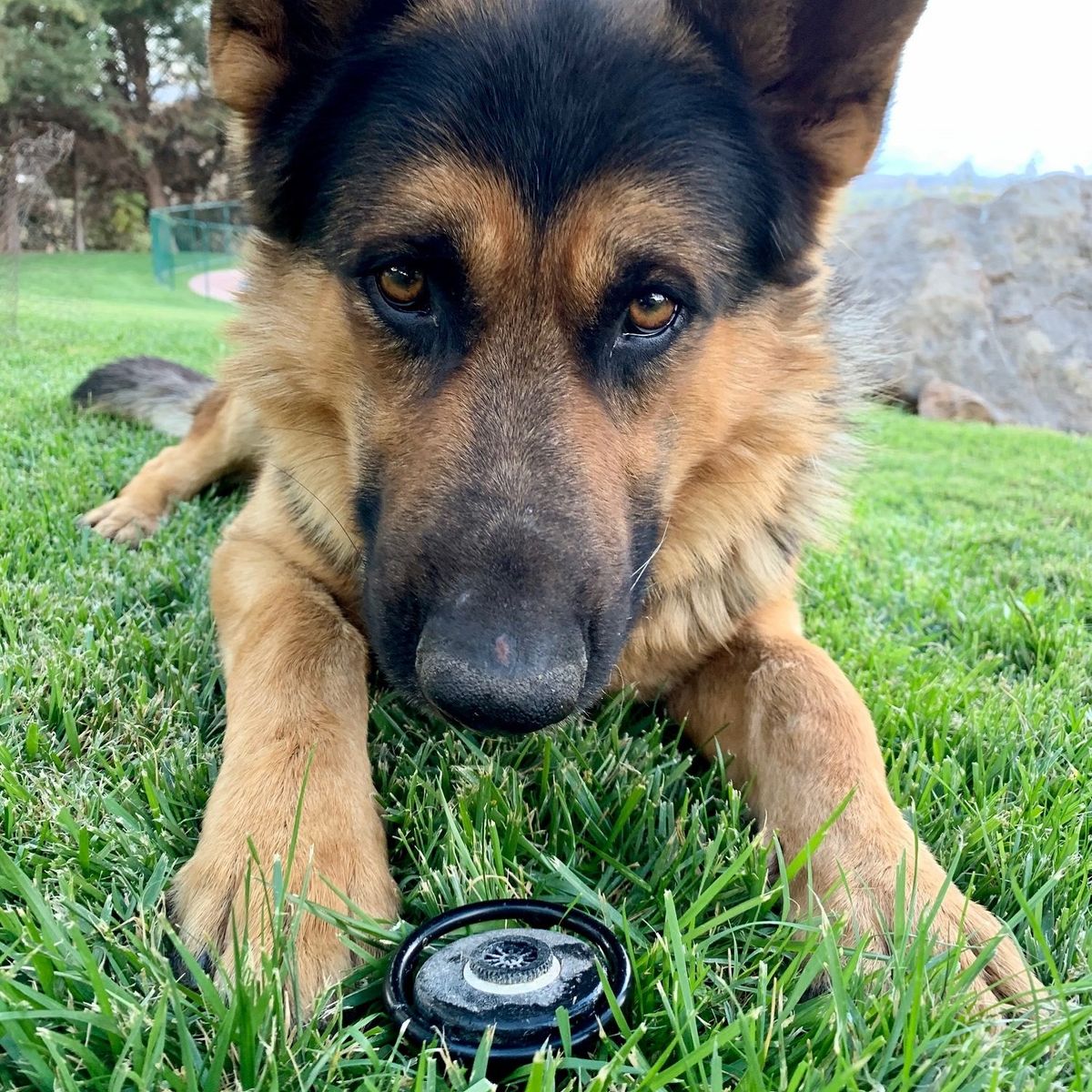 KAS - Protector Para Riego De Acero / Pack 5 Unidades