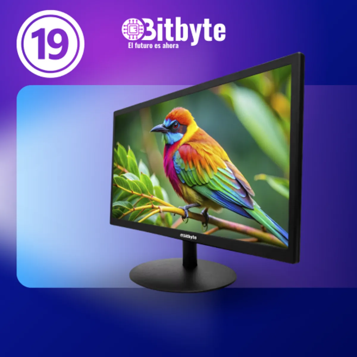 LERNEN - Monitor Bitbyte 19″1440×900  VGA + HDMI  5ms  10001