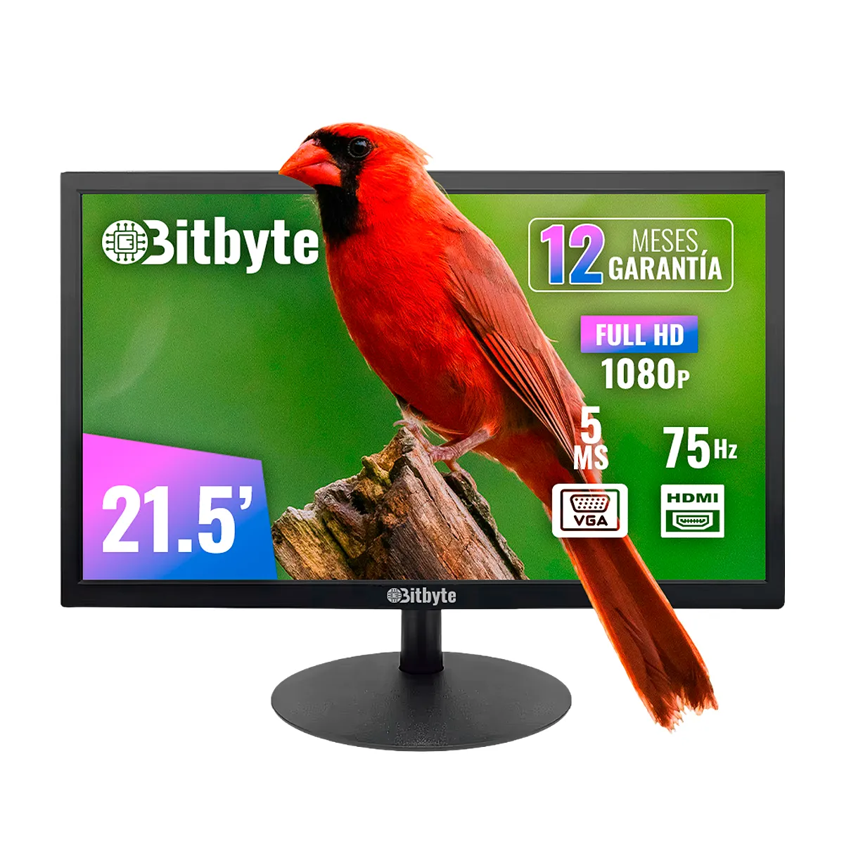 LERNEN - Monitor Bitbyte 215″ Full HD 1920×1080  75Hz 5ms 10001  HDMI VGA