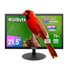 LERNEN - Monitor Bitbyte 215″ Full HD 1920×1080 75Hz 5ms 10001 HDMI VGA